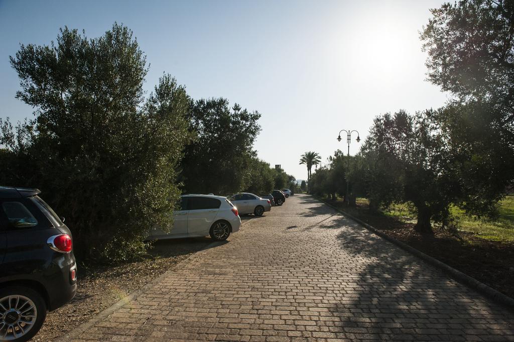 Amaregold Tenuta La Baronessa