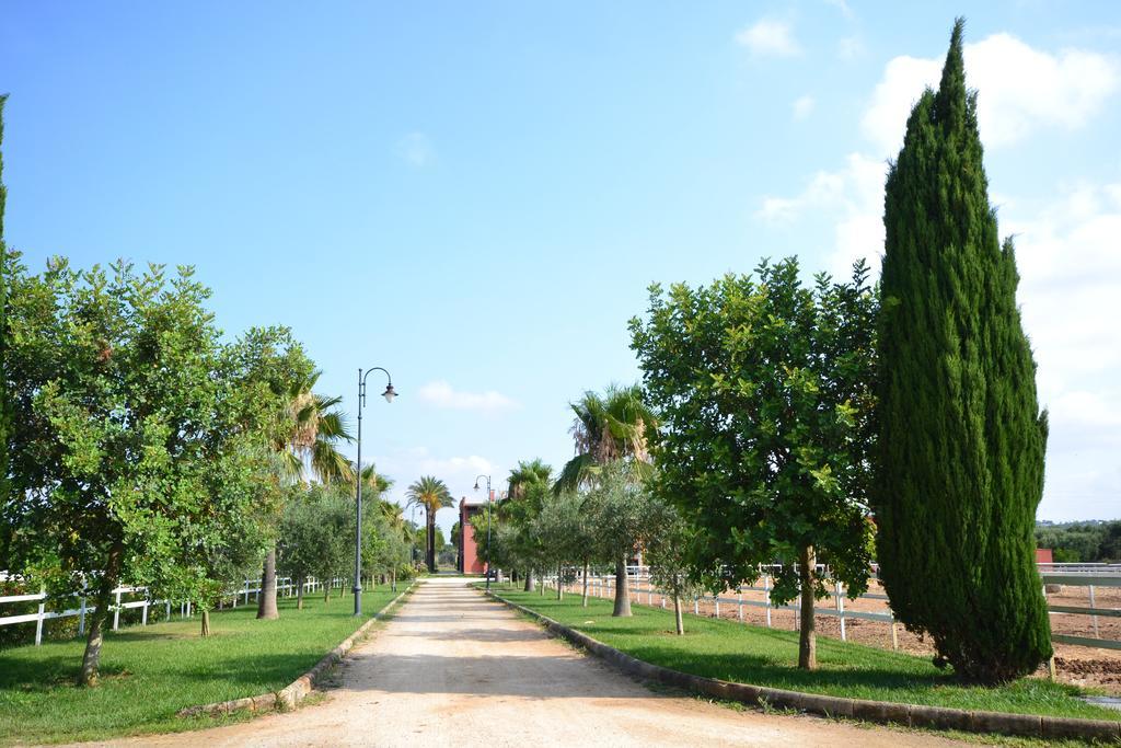 Amaregold Tenuta La Baronessa